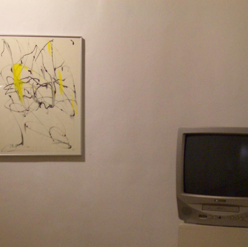 Bild- und Tonaufnahmen der Städte im Vergleich / Grafik: "Wolkenpelztier", aus Ingeborg Bachmann "Anrufung des Großen Bären", entstanden während der Malerklausur der styrianARTfoundation kurz zuvorndation, 08/2005; Bild- und Tonaufnahmen der 3 Lebensorte