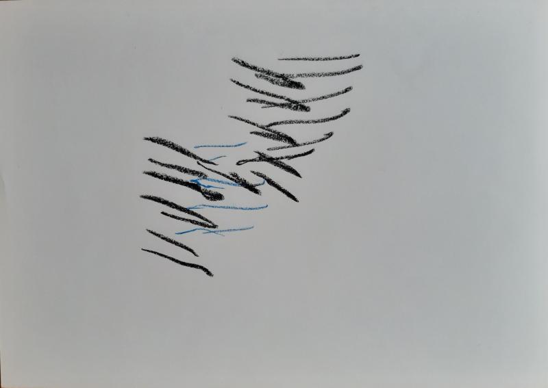 Wildschweinjagd - die Stille danach